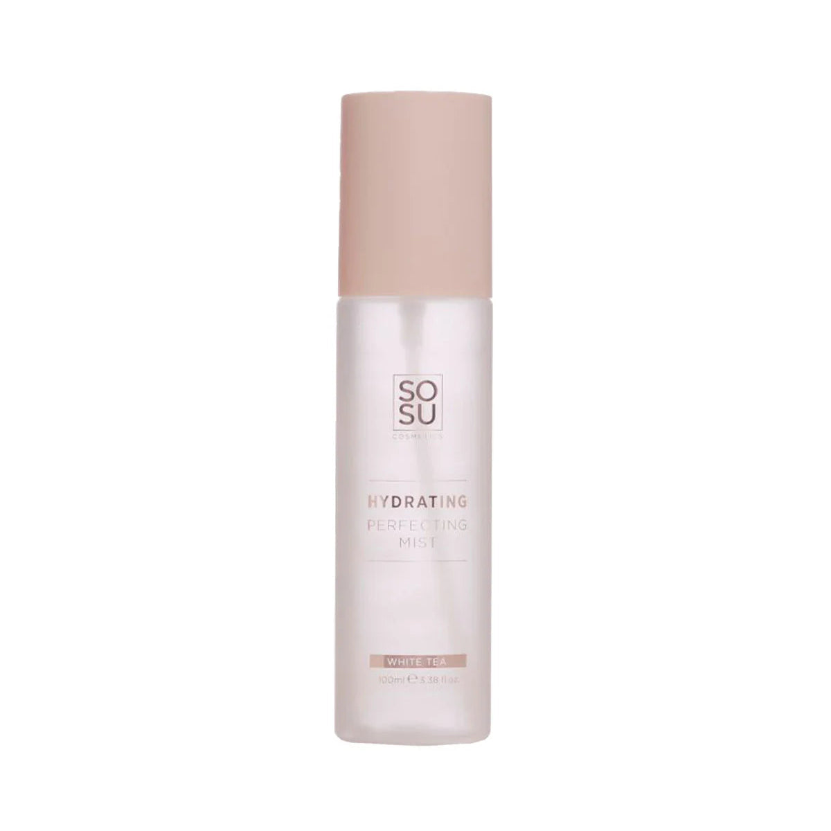 HYDRATING PERFECTING MIST