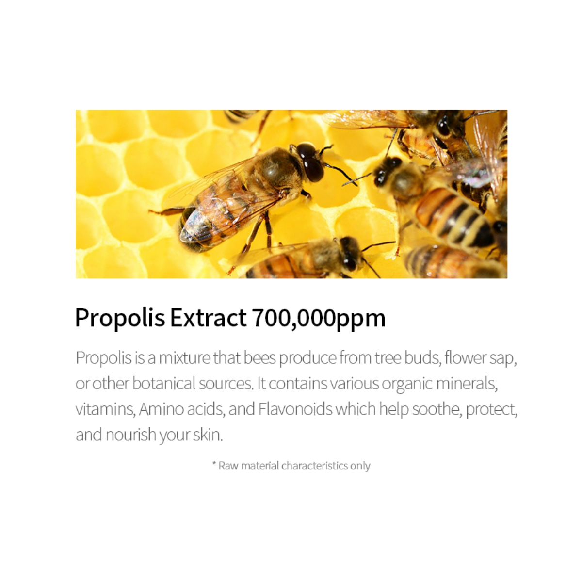 Propolis Vitamin Synergy Serum - (50ml)