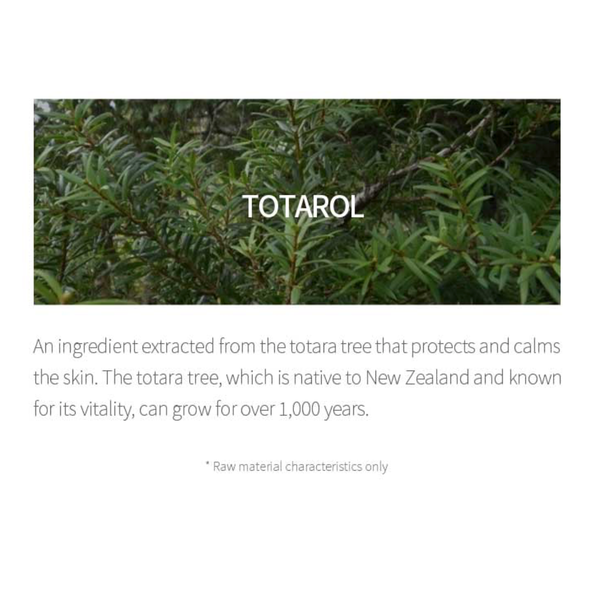 Centella Calming AC Spot Cream - (20ml)