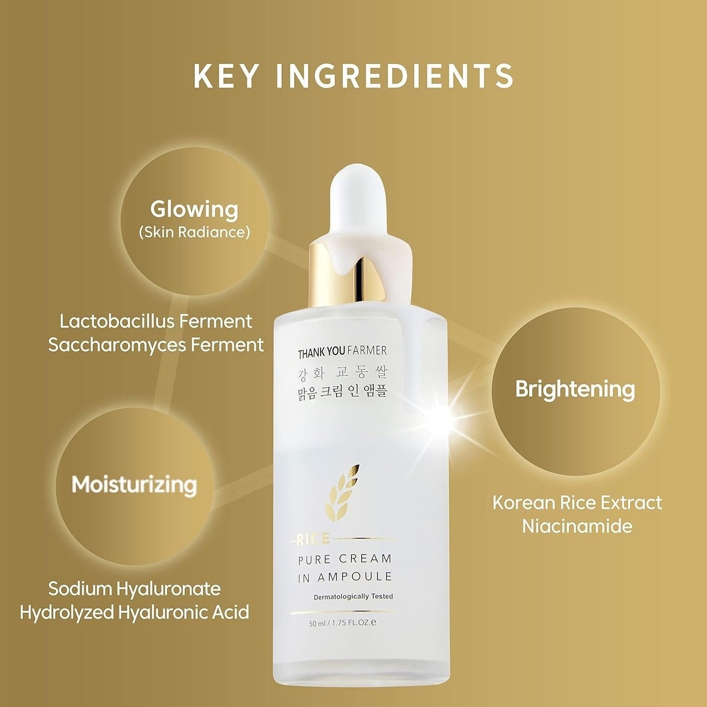 Rice Pure Cream In Ampoule - (50ml)