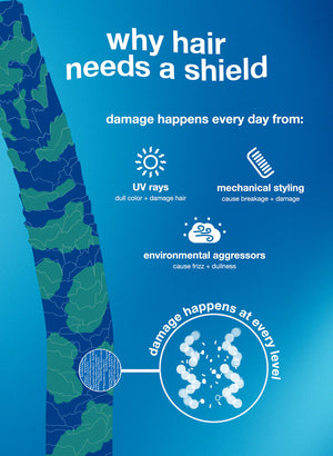 Damage Shield Protective ™ pH Damage Sheild Hárnæring