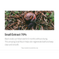 Black Snail Restore Serum - (50ml)