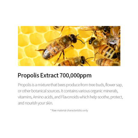 Propolis Vitamin Synergy Serum - (50ml)