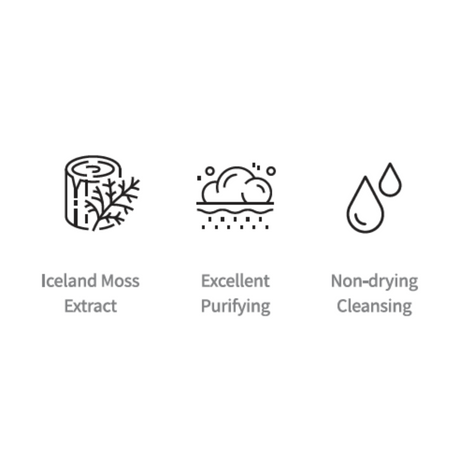 Back to Iceland cleansing foam - (120ml)