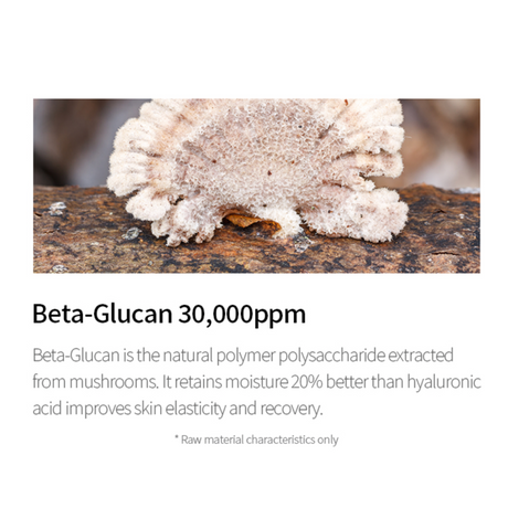Beta-Glucan Daily Moisture Cream - (60ml)