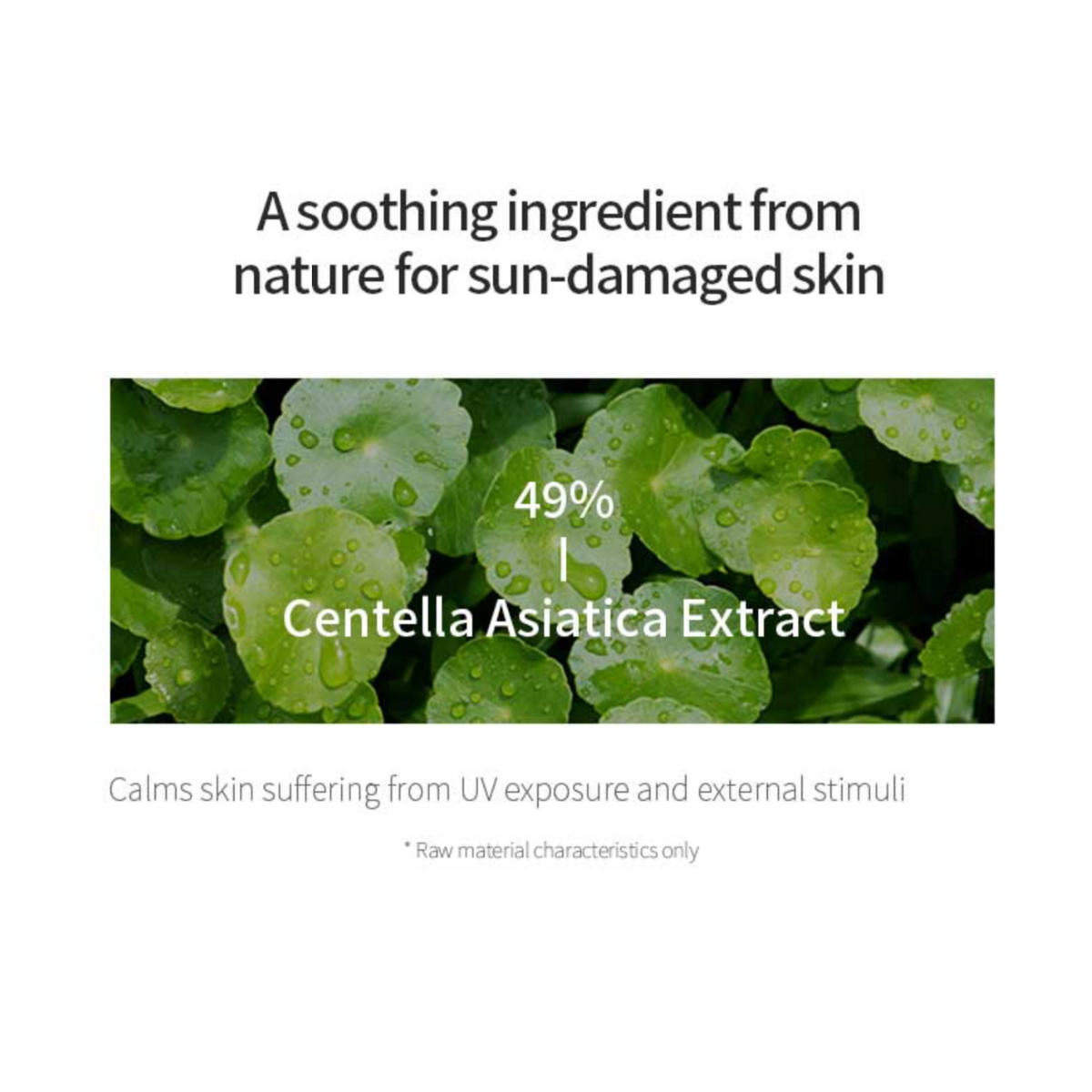 Centella Calming Daily Sunscreen (SPF 50+ PA++++) - (60ml)