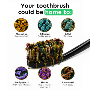 Whites UV Toothbrush Steriliser – UV sótthreinsitæki fyrir tannbursta