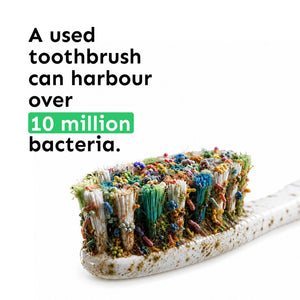 Whites UV Toothbrush Steriliser – UV sótthreinsitæki fyrir tannbursta